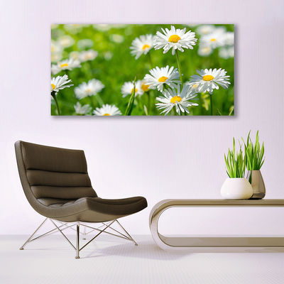 Quadro su tela Pianta di fiori di margherita