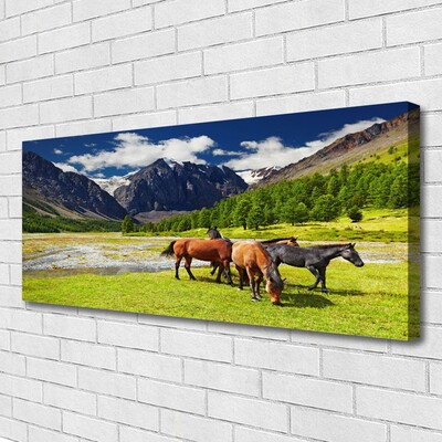 Quadro su tela Montagne, alberi, cavalli, animali