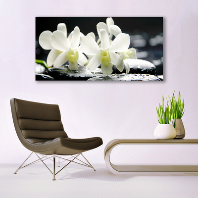 Quadro su tela Pietre, fiori di orchidea