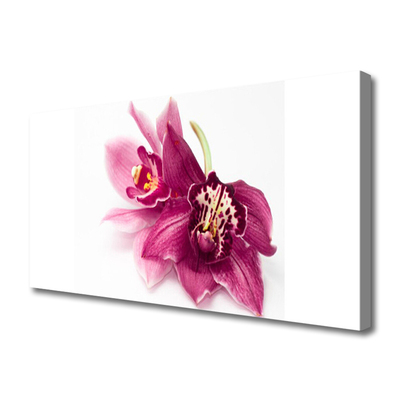 Quadro su tela Fiori, piante, natura
