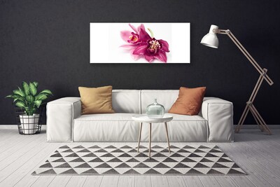Quadro su tela Fiori, piante, natura