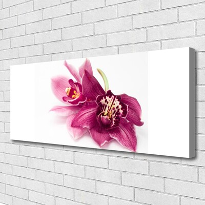 Quadro su tela Fiori, piante, natura
