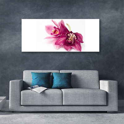 Quadro su tela Fiori, piante, natura