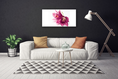 Quadro su tela Fiori, piante, natura