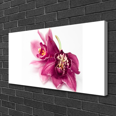 Quadro su tela Fiori, piante, natura