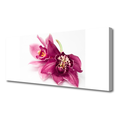 Quadro su tela Fiori, piante, natura