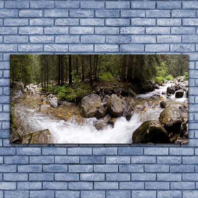 Stampa quadro su tela Foresta, fiume, cascate