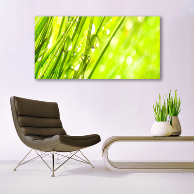 Quadro su tela Natura Gocce d'erba