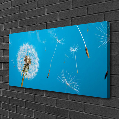 Quadro su tela Fiori di tarassaco Natura