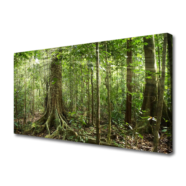 Quadro su tela Natura della foresta Alberi della giungla