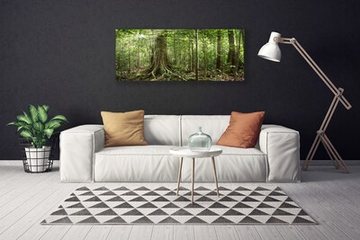 Quadro su tela Natura della foresta Alberi della giungla