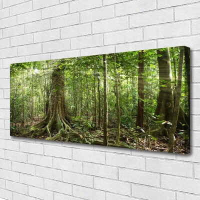 Quadro su tela Natura della foresta Alberi della giungla