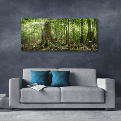 Quadro su tela Natura della foresta Alberi della giungla