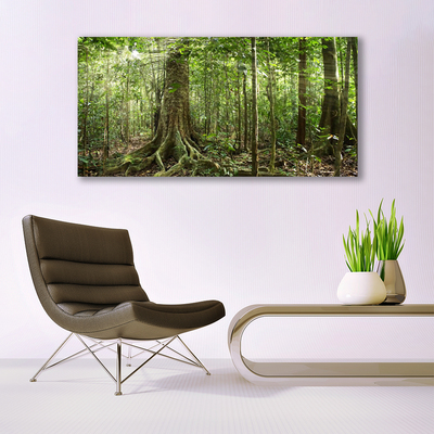 Quadro su tela Natura della foresta Alberi della giungla