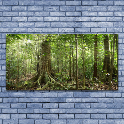 Quadro su tela Natura della foresta Alberi della giungla