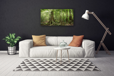 Quadro su tela Natura della foresta Alberi della giungla