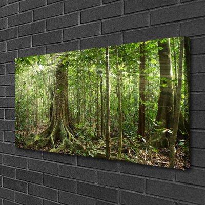 Quadro su tela Natura della foresta Alberi della giungla