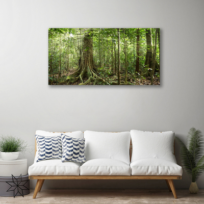 Quadro su tela Natura della foresta Alberi della giungla