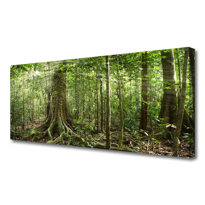 Quadro su tela Natura della foresta Alberi della giungla