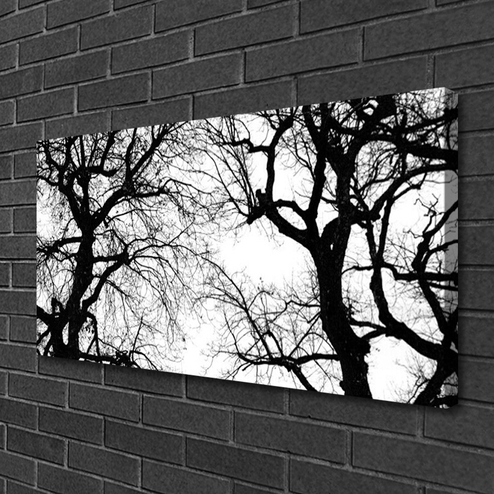 Quadro in vetro acrilico Alberi della natura in bianco e nero 100x50 cm