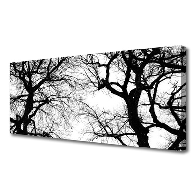Quadro su tela Alberi della natura in bianco e nero