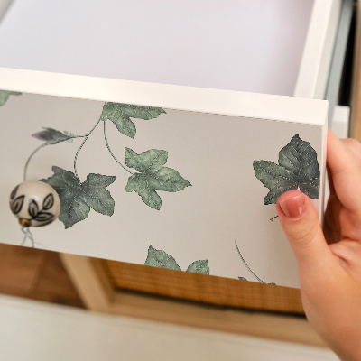 Adesivo per mobili Foglie di edera