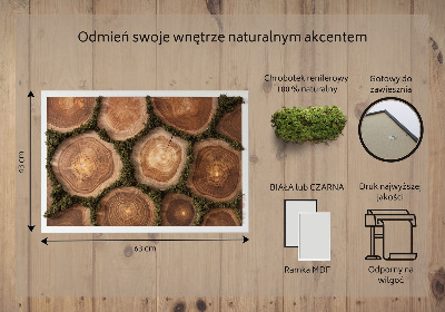 Quadro muschio stabilizzato Sezione di tronco d'albero