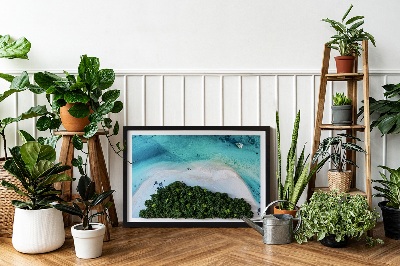 Quadro muschio Spiaggia azzurra