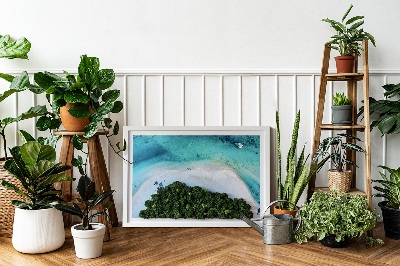 Quadro muschio Spiaggia azzurra