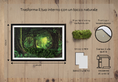 Quadro con muschio stabilizzato Giungla tropicale