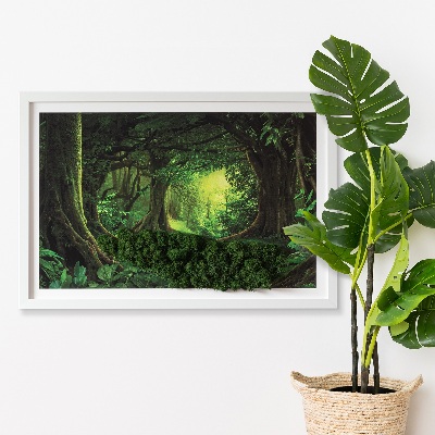 Quadro con muschio stabilizzato Giungla tropicale