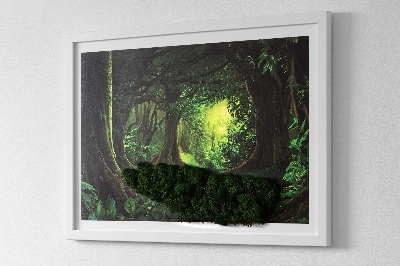 Quadro con muschio stabilizzato Giungla tropicale