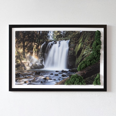 Quadro con muschio Cascata circondata da alberi