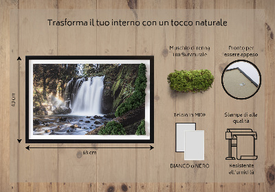 Quadro con muschio Cascata circondata da alberi