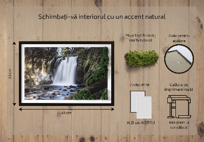 Quadro con muschio Cascata circondata da alberi