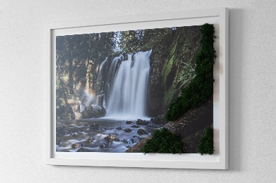 Quadro con muschio Cascata circondata da alberi