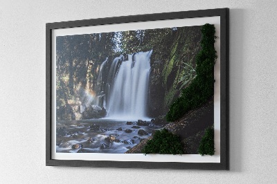 Quadro con muschio Cascata circondata da alberi