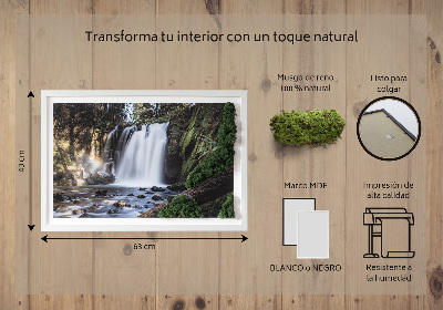 Quadro con muschio Cascata circondata da alberi