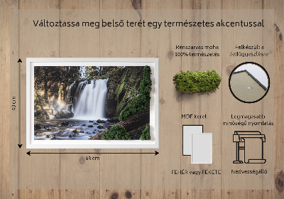 Quadro con muschio Cascata circondata da alberi