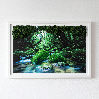 Quadro di muschio Fiume nel mezzo della foresta