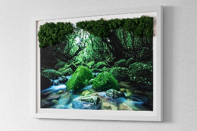 Quadro di muschio Fiume nel mezzo della foresta