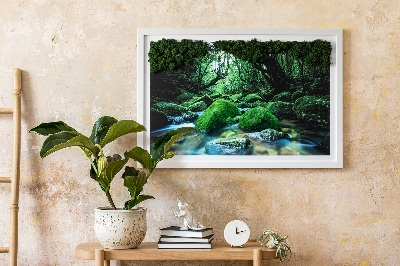 Quadro di muschio Fiume nel mezzo della foresta