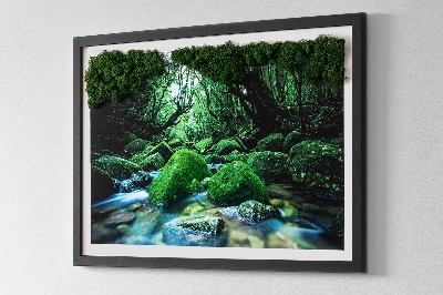 Quadro di muschio Fiume nel mezzo della foresta