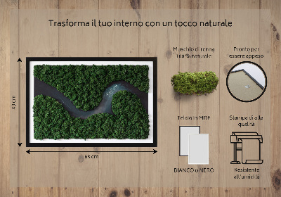 Quadro muschio stabilizzato Fiume nella foresta