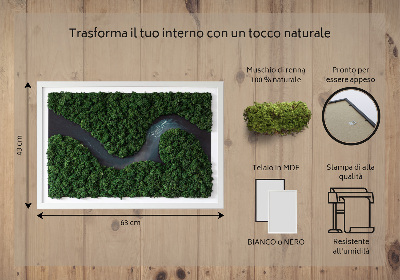 Quadro muschio stabilizzato Fiume nella foresta