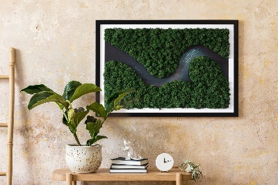 Quadro muschio stabilizzato Fiume nella foresta