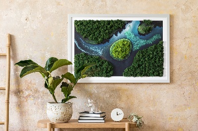 Quadro muschio Isola sugli stagni