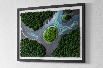 Quadro muschio Isola sugli stagni