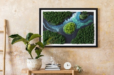 Quadro muschio Isola sugli stagni