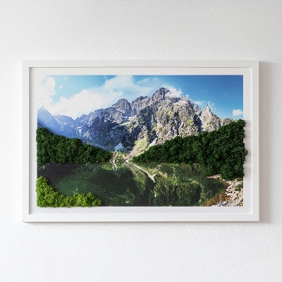 Quadro con muschio stabilizzato Monti Tatra Morskie Oko